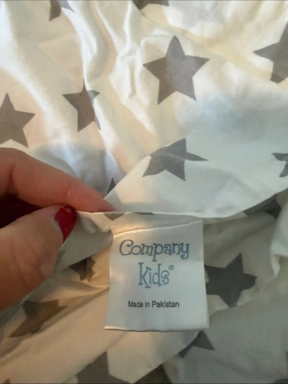 Company Kids Queen Duvet Cover and 2 matching standard pillow covers
